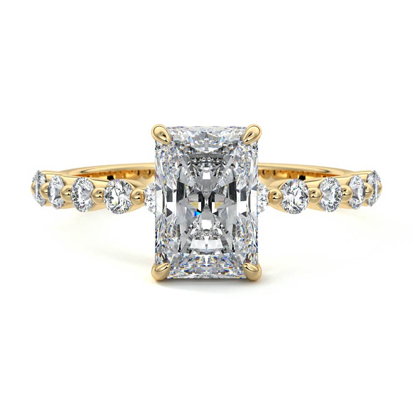 Lori- 3.0 CT Radiant Hidden Halo Pave Moissanite Ring